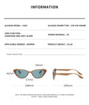 Steampunk CLUB Eyepieces Polarized Sunglasses