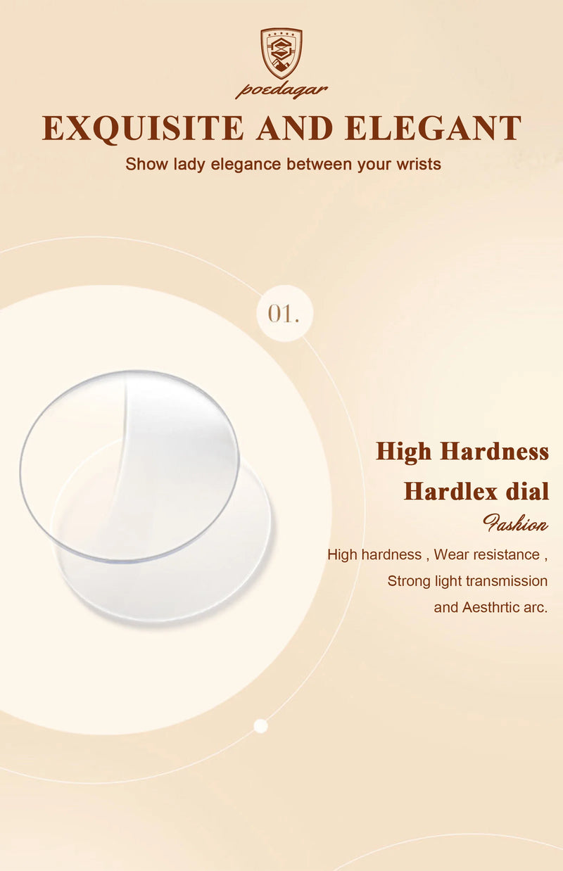 POEDAGAR Luxury Waterproof Stainless Steel Watch