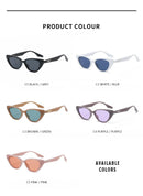 Steampunk CLUB Eyepieces Polarized Sunglasses